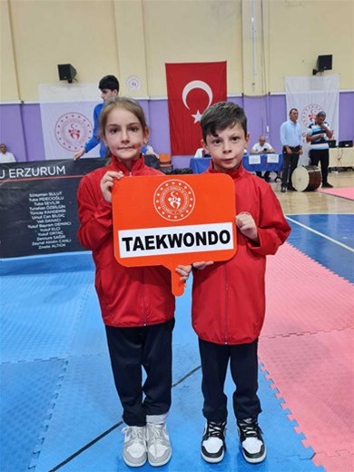TEKMELER ANALİG İÇİN KALKTI
